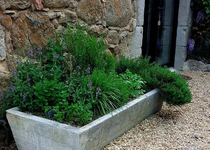 La Maison D'emile- Le Gite- La Clef De La Grange Casa de Férias La Fouillade